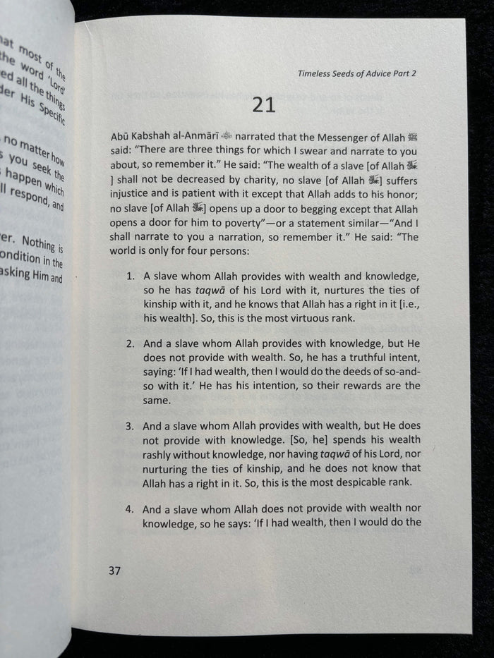 Timeless Seeds of Advice Part 2: A Deeper Reflection