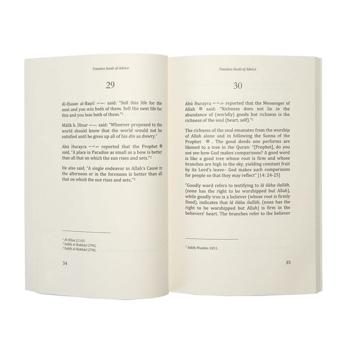 Timeless Seeds of Advice - ibndaudbooks