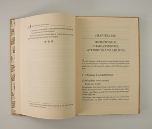 Islamic Creed Series - Book 2 - The World of The Noble Angels - ibndaudbooks