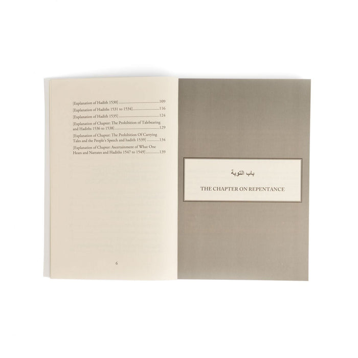 Repentance & Prohibition of Backbiting & Talebearing (explanation of Riyadh Al-Saaliheen) - ibndaudbooks